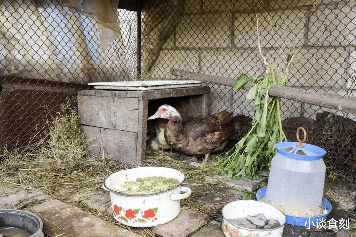 |年前大扫除,牢记“1不动,2要扔,3要洗”,迎新春除去一年晦气