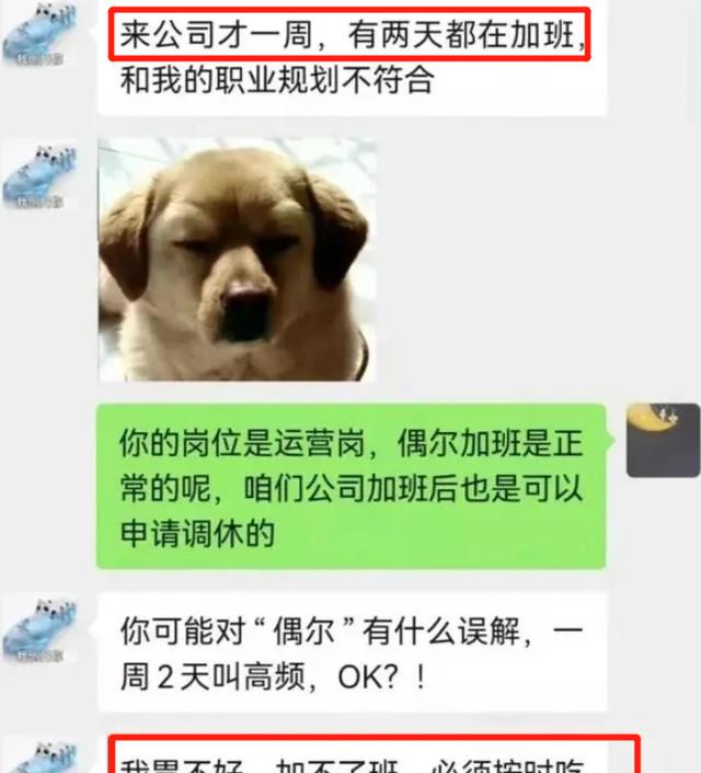 许多|还没看过00后低情商辞职信?理由一个比一个真性情,老板颜面扫地