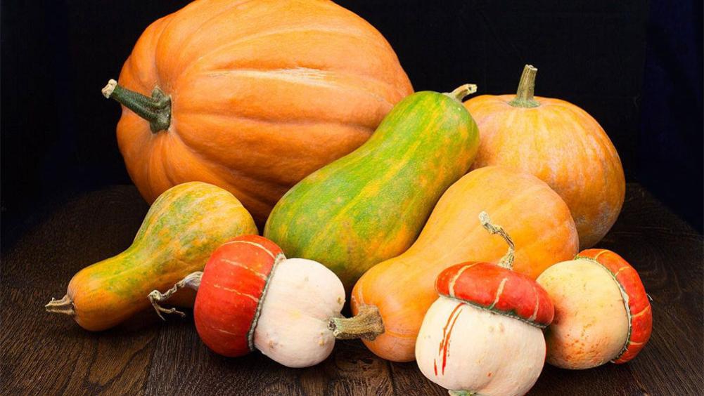 南瓜|南瓜的“死对头”，医生提醒：二者万不可同吃，吃南瓜的禁忌要牢记