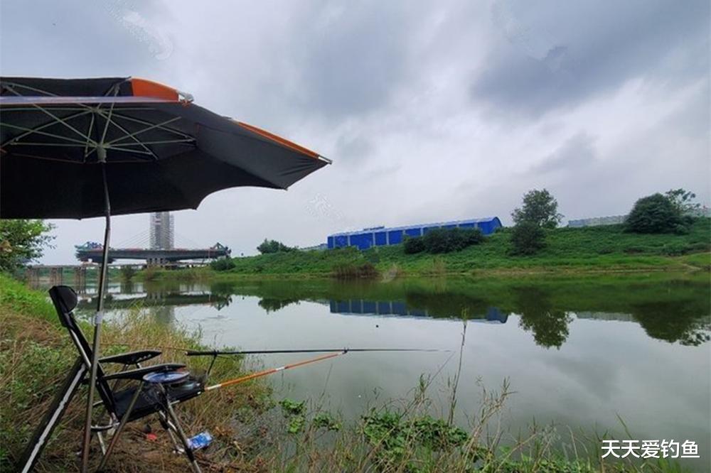 秋天野钓鲤鱼,用好这4大“绝技”,不愁钓不到鱼