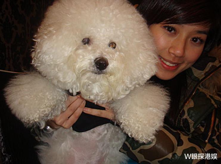 当偶像不成改行拍戏,29恋爱40出嫁,如今没工作被迫重头再来?