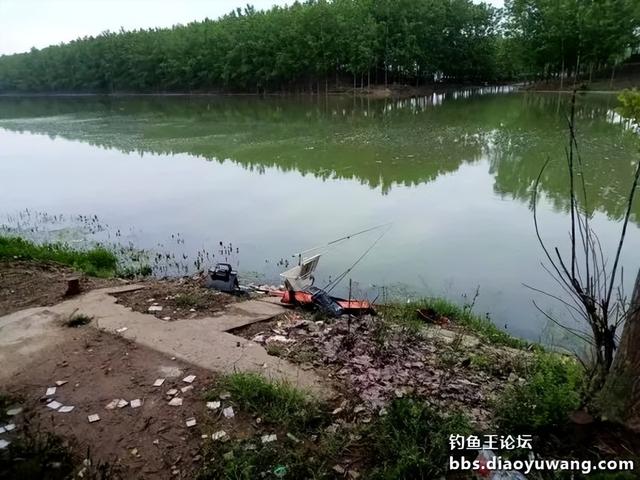 濉河|白刺在手，板鲫拥有