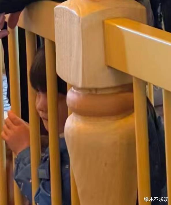 撒贝宁一家4口被偶遇,混血儿女正面照曝光,妻子全程当甩手掌柜