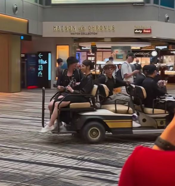 王大陆新女友疑似曝光,搭同一班飞机回台北,女方容貌不输蔡卓宜