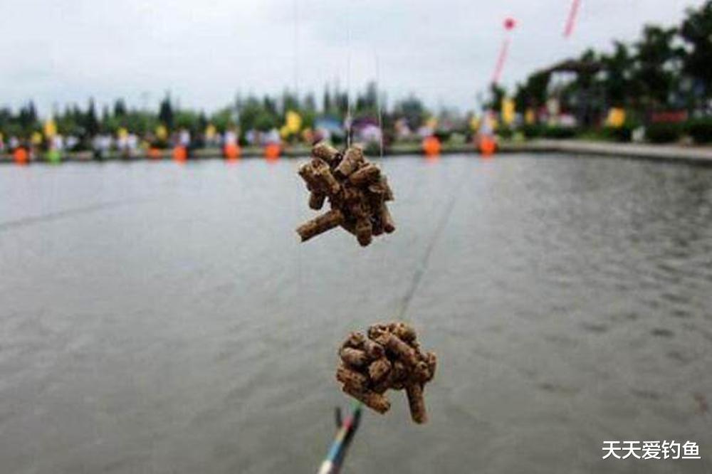 鲫鱼|打窝要“立体”,钓鱼才能更多,几个方法打出立体窝