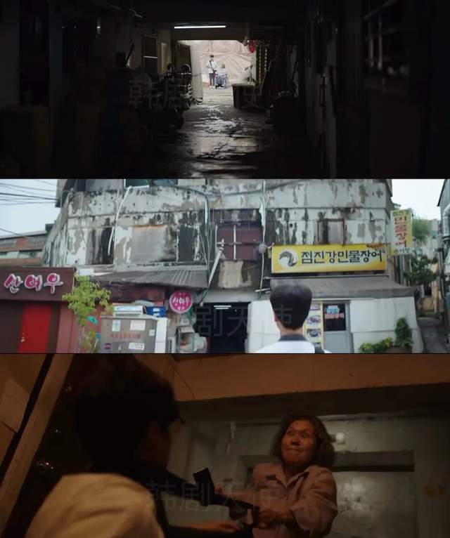 全员发疯！熬夜一口气看完！又刺激又荒诞