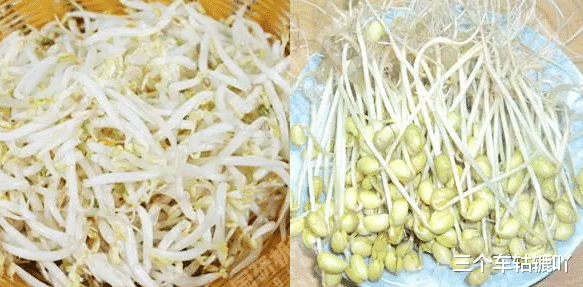 吉林长春,60岁大娘种豆芽卖出200元,没成想被判刑6个月