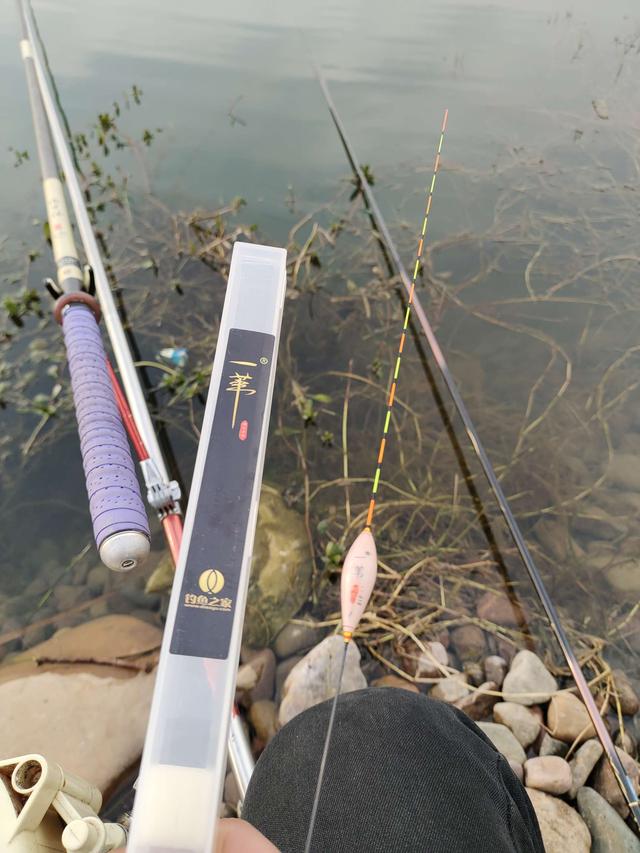 鲫鱼|简单实用的线组搭配技巧，新手少走弯路