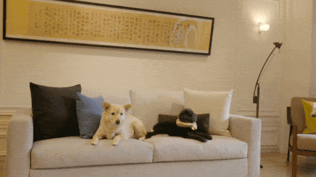 萧敬腾家中求婚经纪人：8层别墅，有演奏厅和室内篮球场