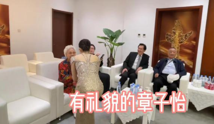 刘诗诗|一场晚会将陈道明在娱乐圈地位,体现的淋漓尽致,韩三爷都比不了