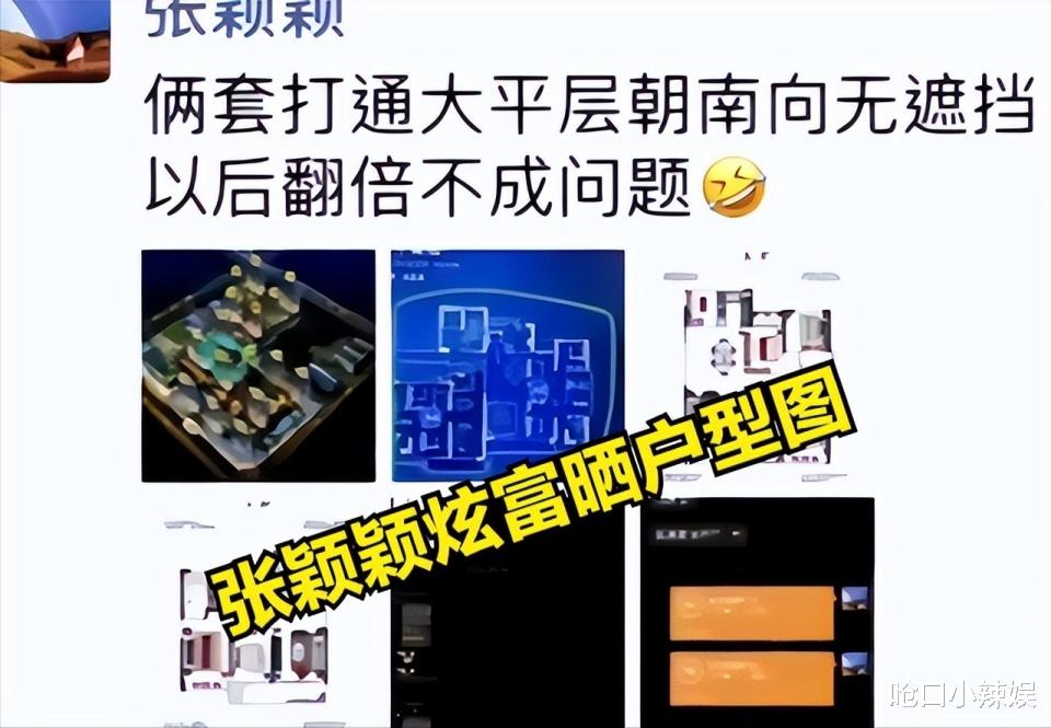 汪小菲的双面人生：转移婚内财产，大S险遭空手而归！