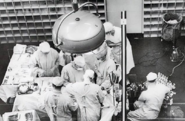 人兽嵌合体:1984年美国母亲为初生女儿移植狒狒心脏,最后怎样了