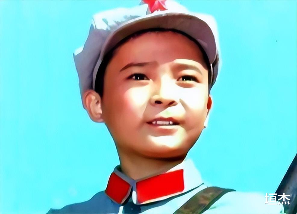 童星|当警察，身价上亿，沦为阶下囚，从顶流跌落后，过气童星现状各异