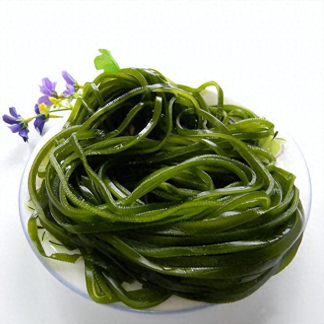 海带|我国瞧不上的“野菜”，却被日本大量进口，还称其为“长寿菜”？