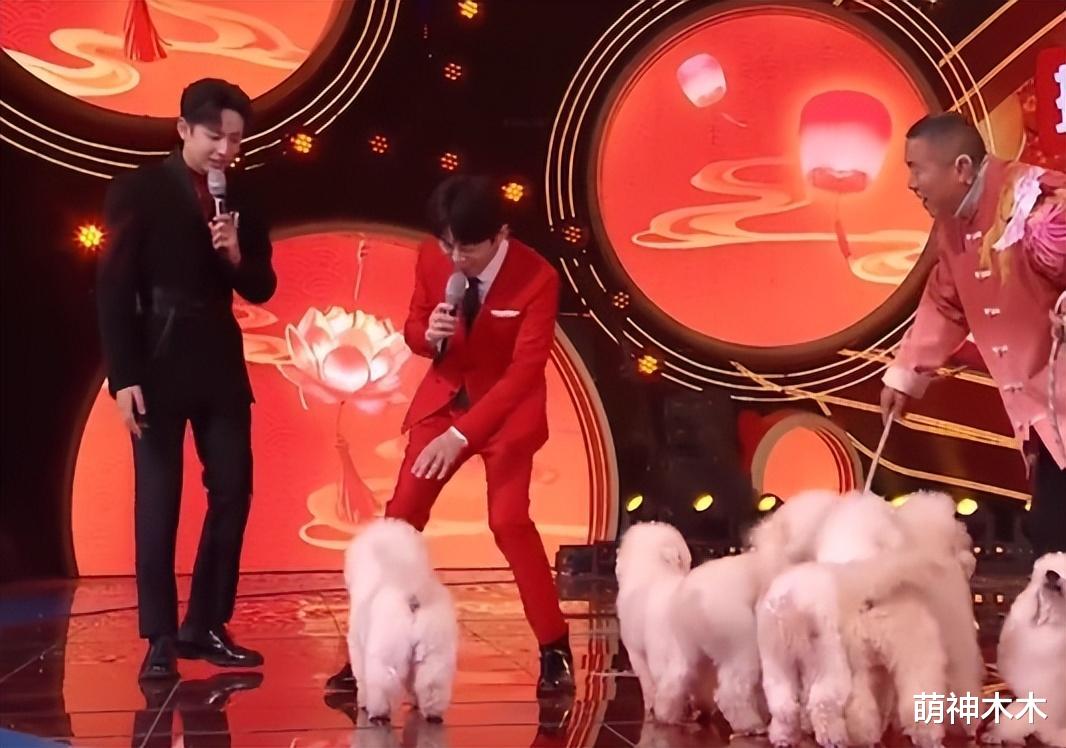 小品|湖南元宵晚会太无聊,开场就假唱,小品尴尬被嘲,全靠何炅撑场