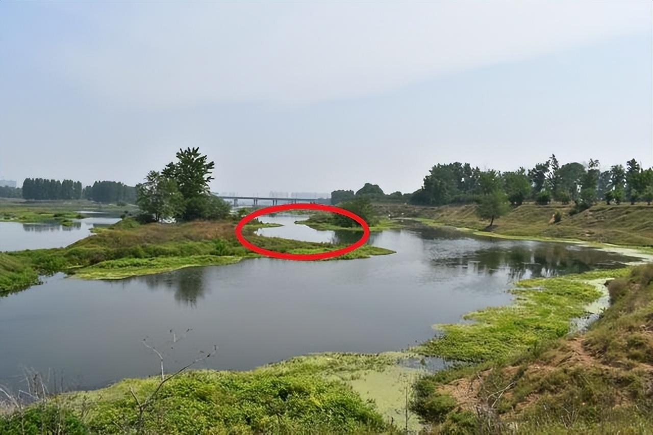 饵料|钓位找对,事半功倍,详述野钓的六大黄金钓位,新手一看便知