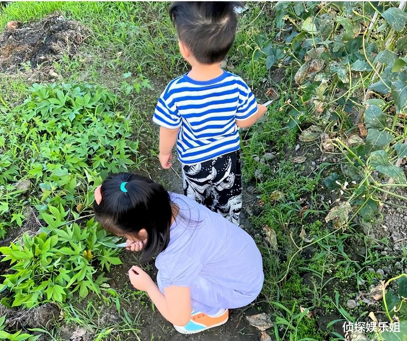 朱丹|朱丹周一围带娃出游，夫妻打扮粗糙毫无明星范，一人扛一娃超有爱