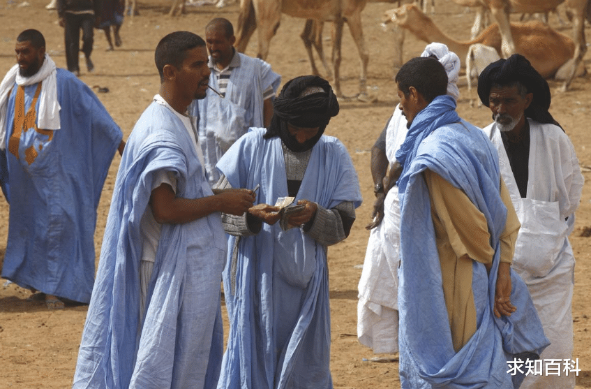 椰枣|世代居住在沙漠中的人，骆驼是主要出行工具，所有人住在帐篷里