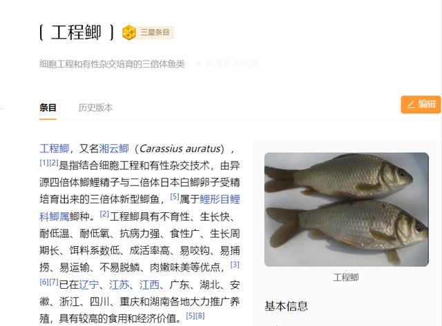 牛肉丸|买鲫鱼，要分清“土鲫”和“工程鲫”，差别挺大，买错难吃不鲜美