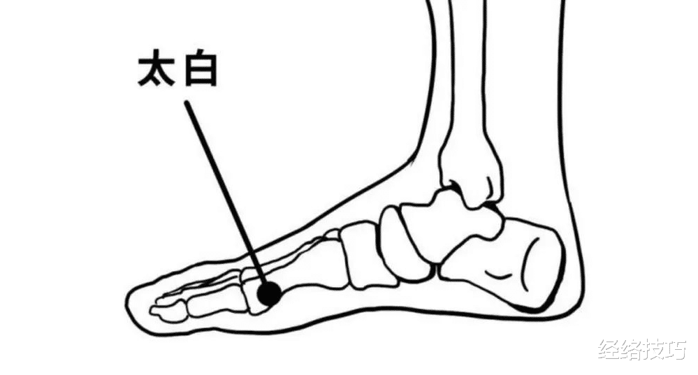 补脾最厉害的一个穴位，比山药小米强太多，滋补脾气，排除脾火