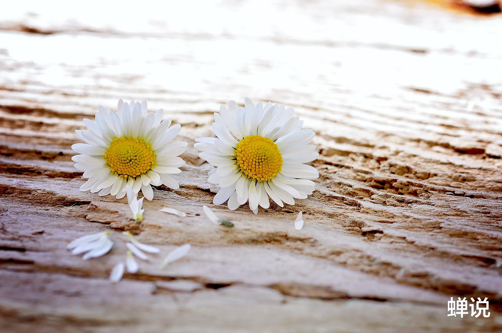 我55岁,退休金4000,选择躺平养老,儿子不依,和我就此断了联系