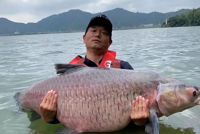 李大毛|因“盘老板”而出圈的邓刚,进入低迷期,泰国之旅能否再续辉煌?