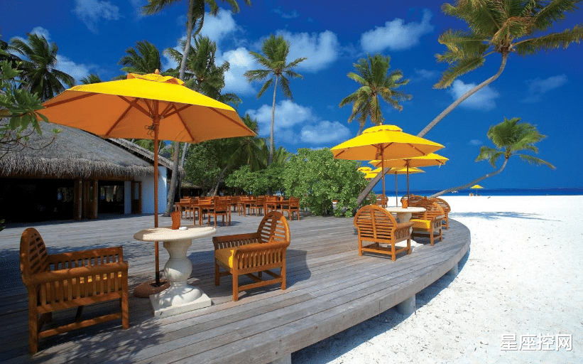 从不撒谎,诚实对人,事业在新一年大有进步的四个星座