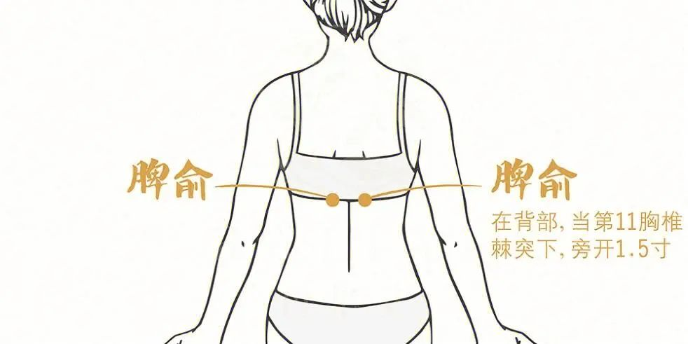 针灸减肥原理与注意事项