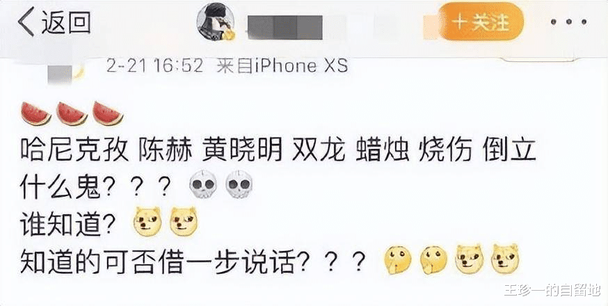 钟丽缇|一天4个瓜!结婚,隐婚,出轨,有喜有忧