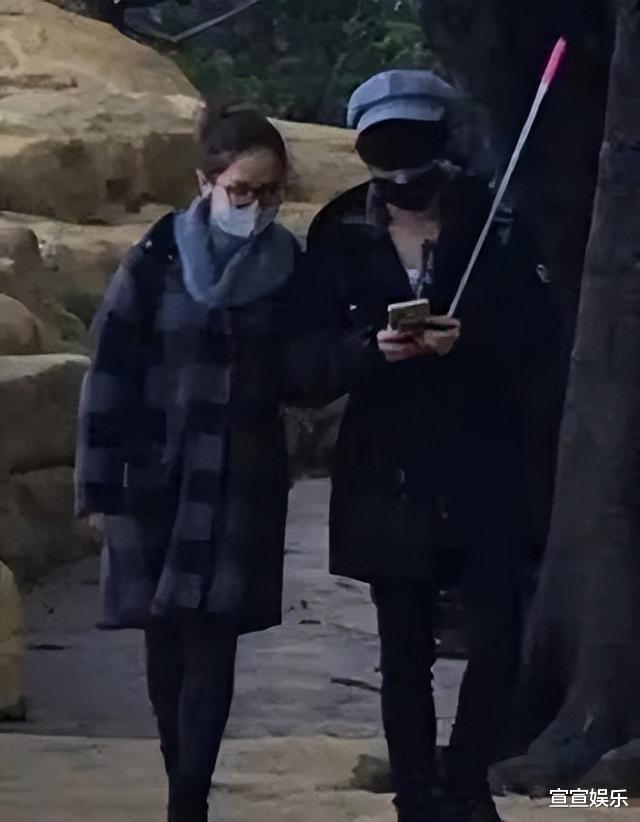 陈采尼|不要名分只要孩子,精明的张碧晨,看似一无所有,但已经赢了一切