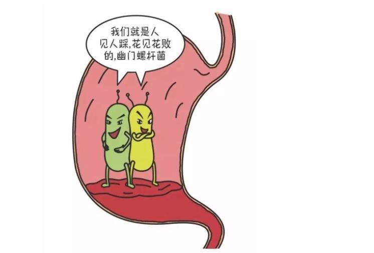 幽门螺杆菌“病因”找到了？医生奉劝：2类食物，忍住不吃才算赢
