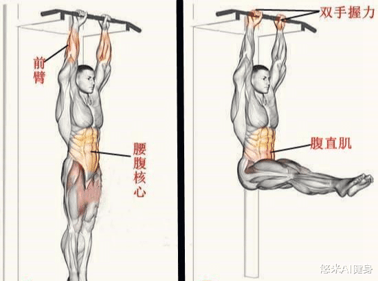 引体向上做不好怎么办?通过3个阶段的训练,完成10个动作很轻松