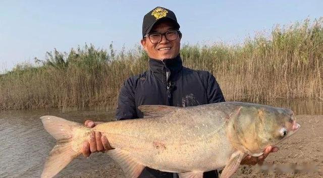 李大毛|因“盘老板”而出圈的邓刚,进入低迷期,泰国之旅能否再续辉煌?