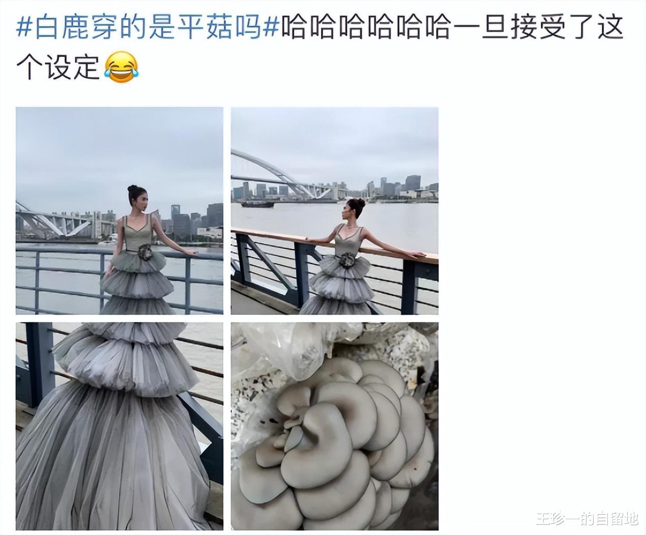 微博之夜|特警出动,大批明星被赶,微博之夜8大尴尬场景,看得人脚趾抠地