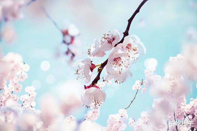 |职场上，少跟三种人打交道