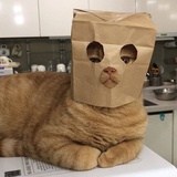 以蕊搞笑