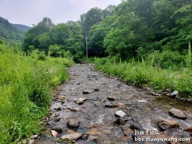 今晚吃鱼效果好，同学同钓兴致高