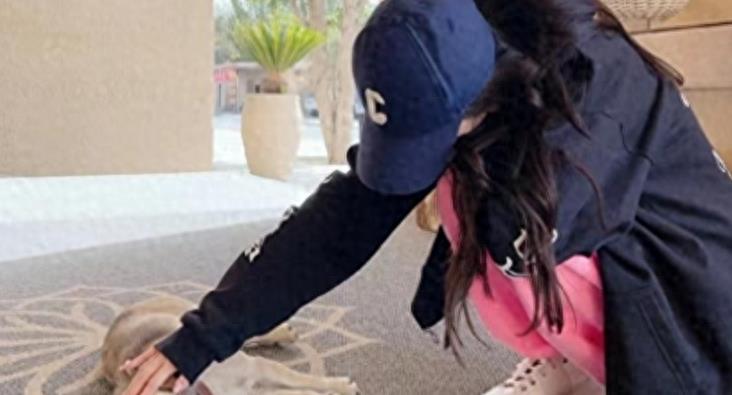 baby发微博疑似内涵黄晓明是条狗？她和邓伦还没分手吗？