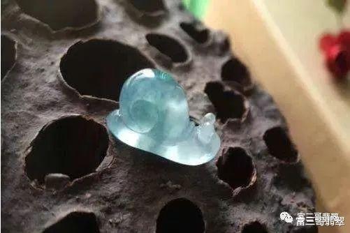 |翡翠蜗牛:虽然我很慢,但每一步走得都很稳!