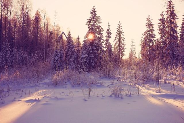 秃头|夏天到了，阳虚的人别闲着！