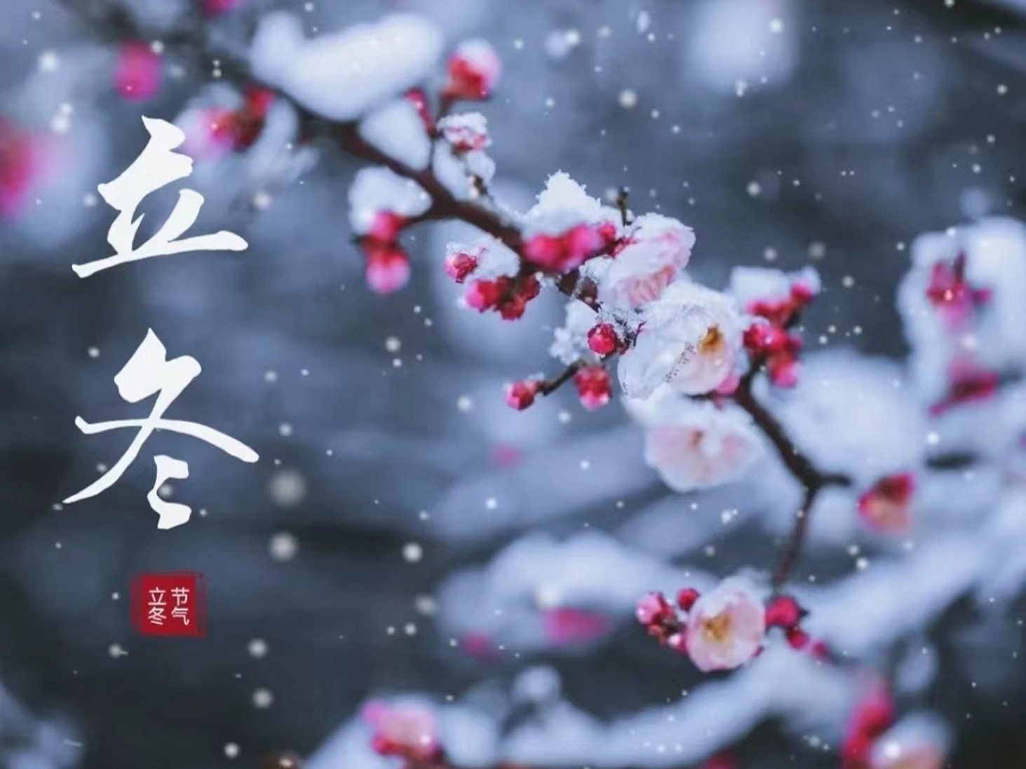 猪蹄|11月8日立冬，记得“多吃5样，少吃1样”，牢记老传统