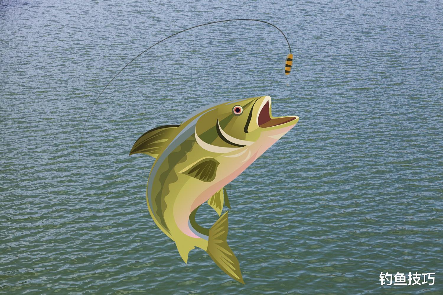鱼钩|提竿跑鱼的4个原因,追根溯源提高中鱼率、降低跑鱼率