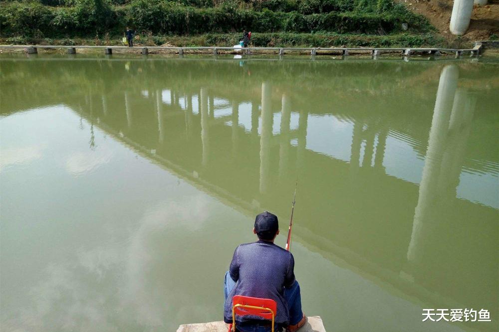 |夏季钓鱼，3个步骤找准鱼窝，在鱼窝里下竿，一钓一个准