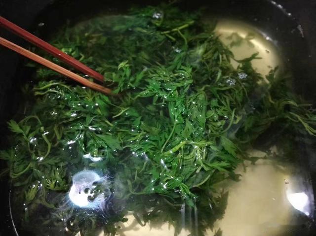 牛都不吃的农村野草，为何古人视若珍宝，还称呼它为“金不换”？