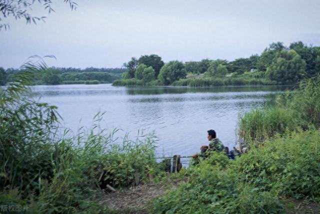 初秋夜钓,很多因素都会影响上鱼!牢记这四招,鱼获有保证