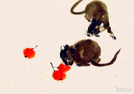 生肖|第一季度能成为人上人的生肖，扛得住压力，收获大富生活