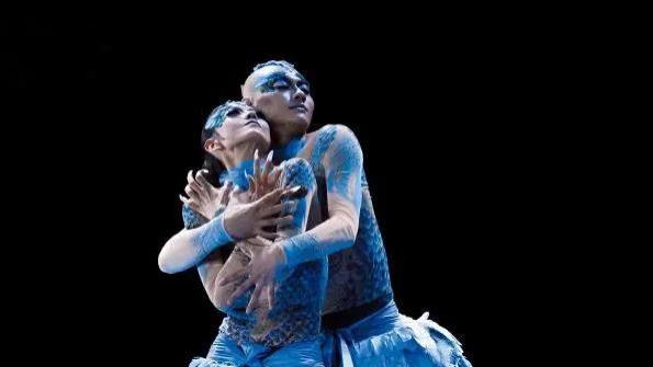 杨丽萍舞伴殒命！从39楼跳下，年仅只有44岁！天堂再度舞《雀之恋》