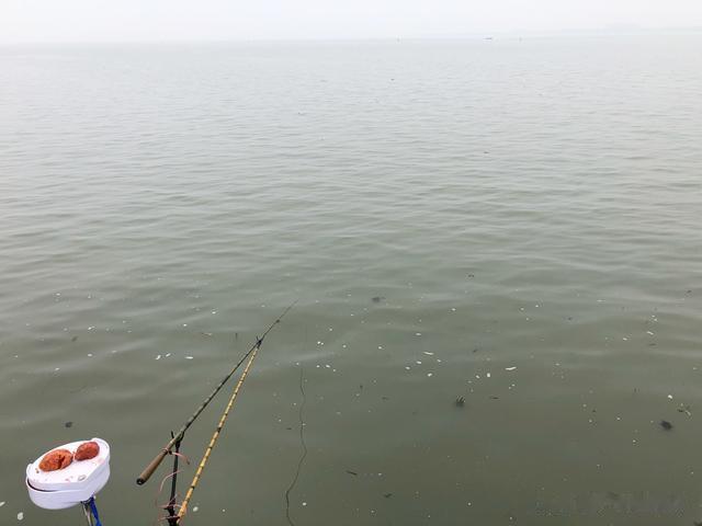 钓鱼|是个钓鱼人,都经历过这些“糟心事”