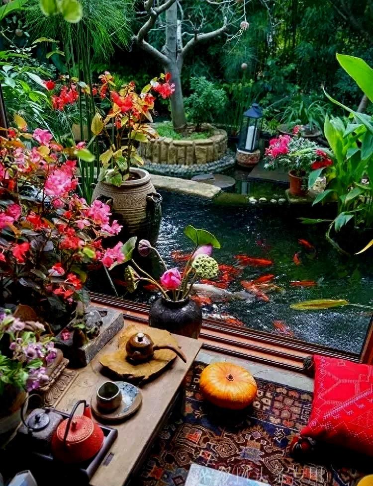 舞蹈家杨丽萍的月亮宫突然被查封,里面不忍直视网友直呼:封的对