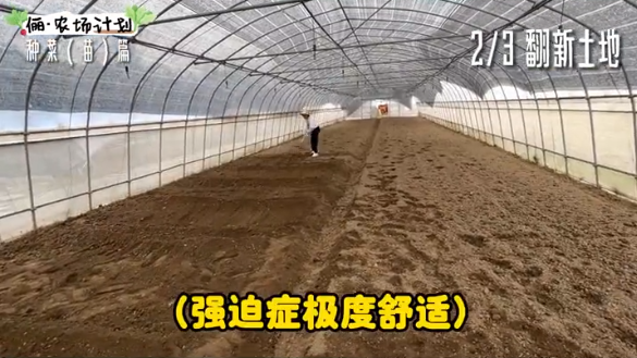 孙俪|孙俪化身农民，承包大棚播种育苗翻土亲力亲为，获农民网友点赞